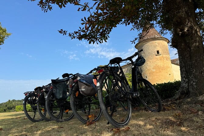 Backcountry E-Bike Adventure from Bordeaux: Wine Tasting & Lunch - Who Would Love This Tour?