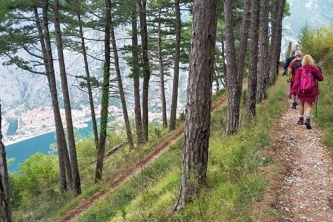 Bay of Kotor hiking experience - Montenegro Travel Club private tour - Practical tips for travelers