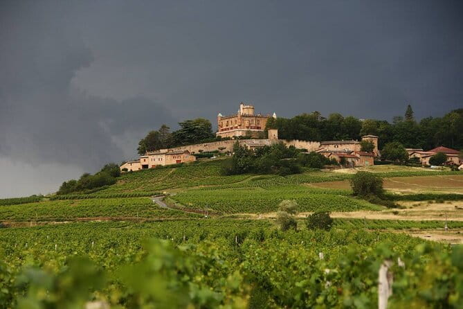 Beaujolais Wine Tour - Tastings & Gourmet Picnic Lunch - Why This Tour Works for You