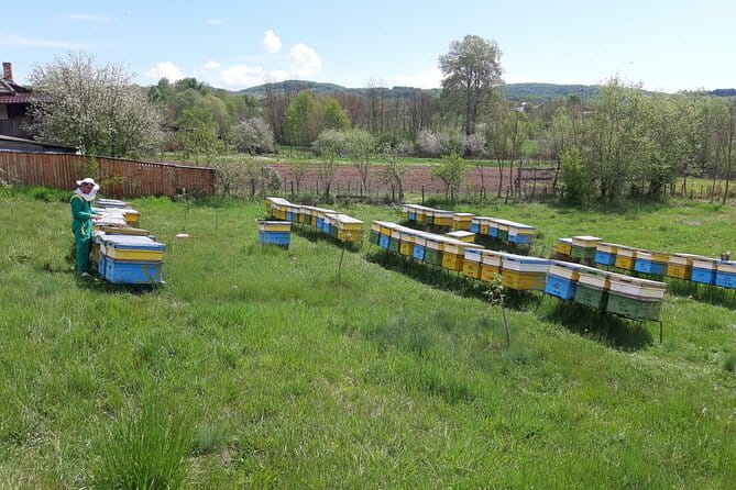 Beekeeping Day Trip| Private Guided Tour from Bucharest - Frequently Asked Questions