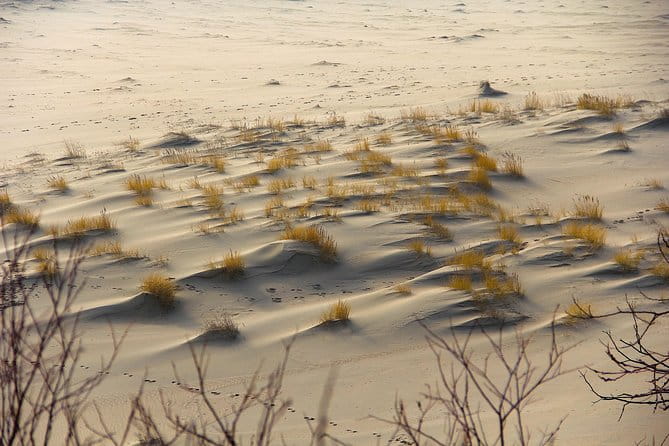 Best of Klaipeda & Curonian Spit Join-in Shore Excursion - Who Should Consider Picking This Tour?