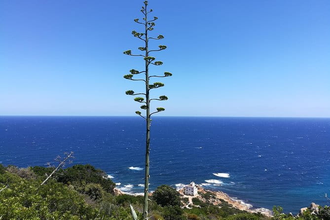Biderosa and Capo Comino Beach Tour - The Off-Road Drive and Lighthouse Viewpoint