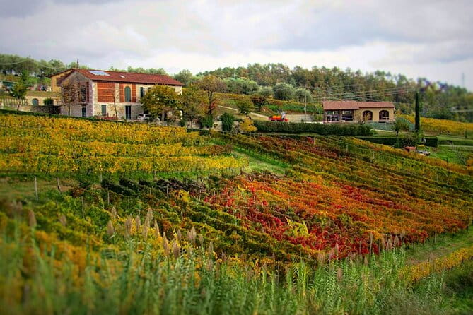 Bike Ride & WIne Tasting - Price & Value Analysis