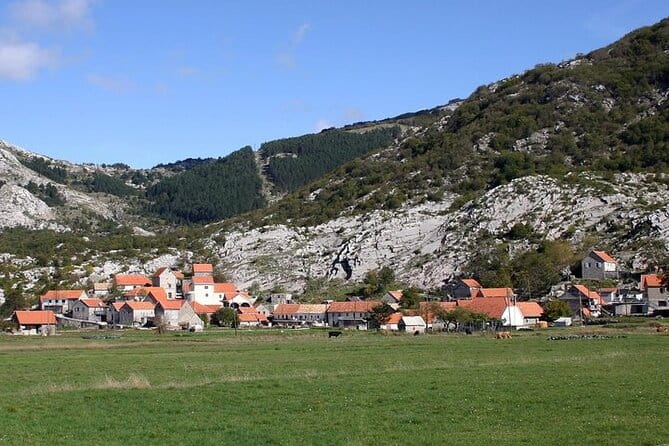 Bike tour - Panoramic downhill from Njegui and Kotor serpentines - FAQ