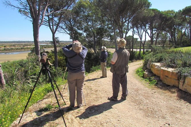 Birdwatching day in the Ria Formosa Natural Park - The Sum Up: Who Should Consider This Birdwatching Tour?