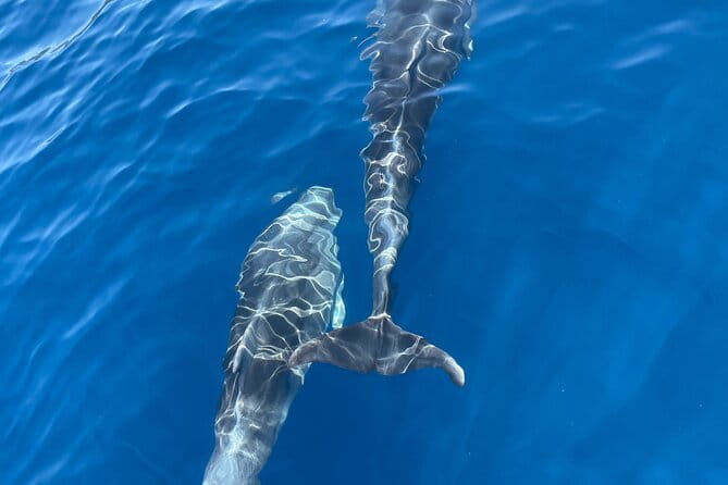 Blue cave tour with a speedboat-small group - Practical Tips for a Great Experience