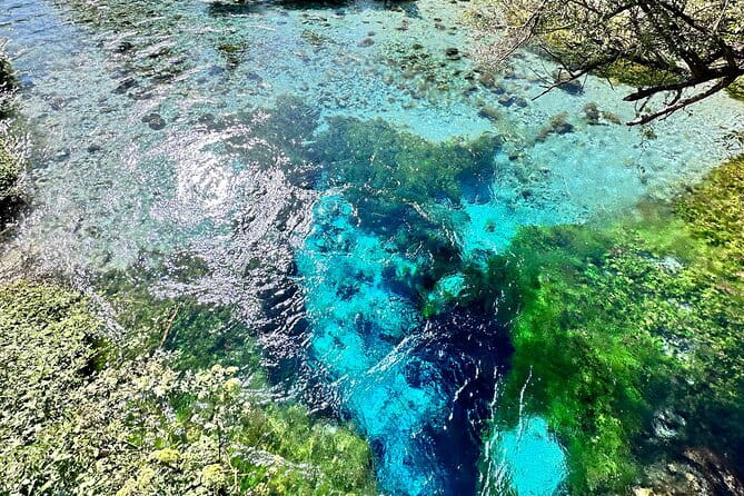 Blue Eye and Gjirokaster, Half Day Nature & Historical Tour - Final Thoughts: Why This Tour Is a Great Choice