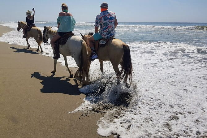 Boat Ride-Gentle Beach Beach Horseback Ride+Lunch-Crocs-Turtles - Exploring the Boat Ride on the Lagoon