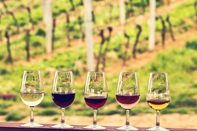 Bordeaux Cruise Port Shore Excursion: Full-Day Private Medoc Wine Tour - First Stop: Margaux Château