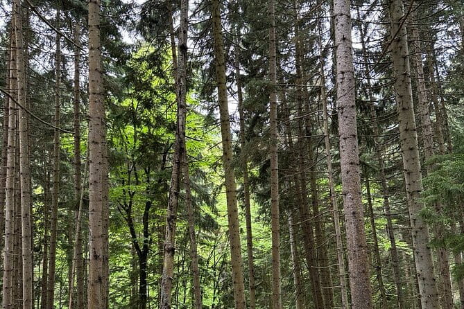 Borjomi Nature Wonderland Guided Tour from Tbilisi - FAQ