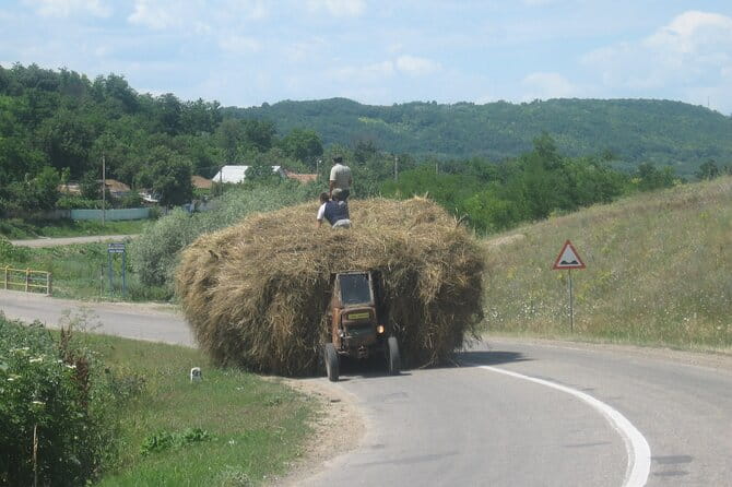 Bucovina Painted Monasteries Day Tour - Who Would Love This Tour