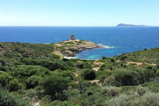 Cagliari: Full-Day Private Tour of Sardinia's Hidden Beaches from Chia - Practical Tips for Your Day