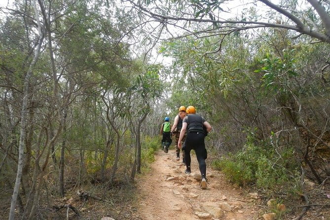 Cagliari Shore Excursion: Professional Guided Coasteering - Who Will Love This Tour?
