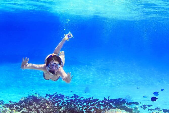 Capri Island Boat Tour from Amalfi with Snorkeling | Small Group - FAQ