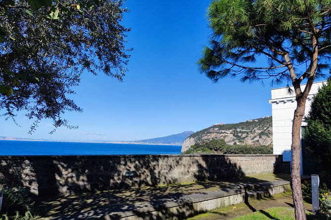 Car Tour admiring Capri and visiting Positano and Amalfi - Who Should Book This?