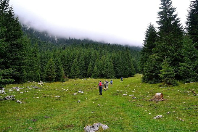 Carpathians in Romania: Piatra Craiului National Park with native Spanish guide. - Summary: Who Will Love This Experience?
