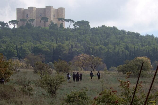 Castel del Monte: excursion in the Alta Murgia National Park - The Logistics: Comfort, Timing, and Cost