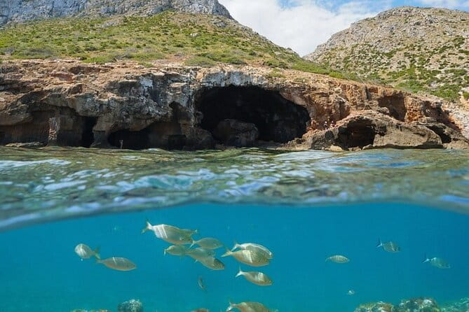 Catamaran ride with aperitif and white wine from Denia - The Experience in Detail