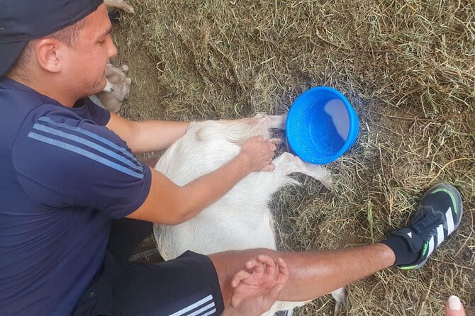 Chania Area: Cooking Class at a Farm in Stylos Village (organic) - Who Will Love This Experience