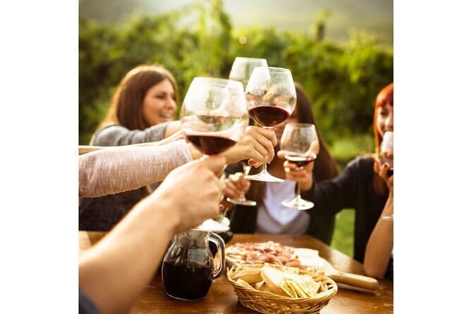 Chianti Wine Tour from Florence to San Gimignano with 2 Wineries - Who Will Love This Tour