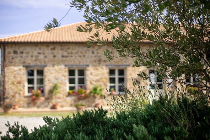 Classic Wine Tasting in Montalcino - Practical Tips for Visitors