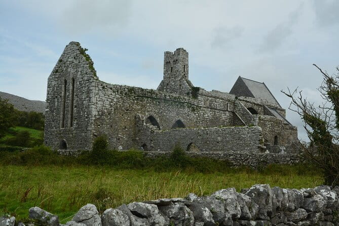 Cliffs of Moher and Burren Private Tour from Galway - The Cliffs of Moher: The Real Star