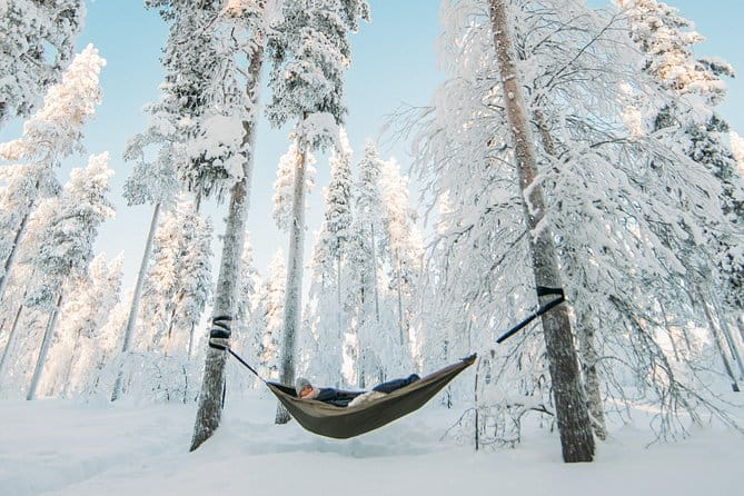 Cocooning in the HaliPuu forest: The ultimate Arctic hammock relaxation - Who Will Love This?