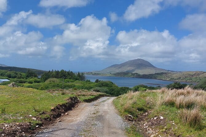 Connemara Sheep Farm experience & Kylemore Abbey by Lux Limousine - FAQs