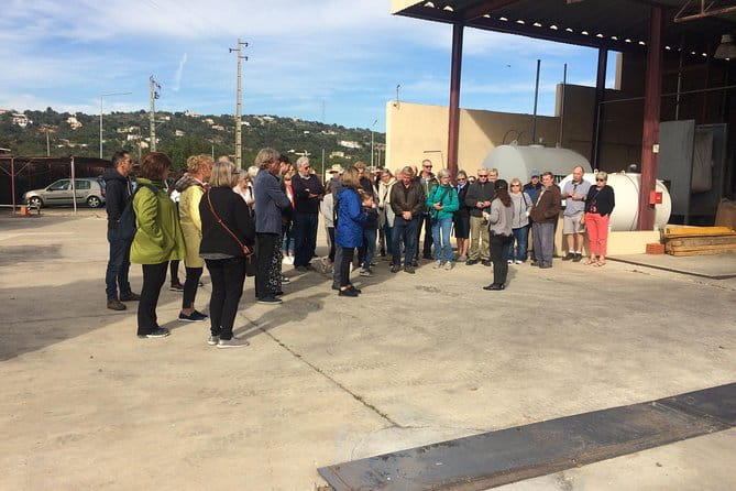 Cork Secrets - Exploring Loulé and Its Market