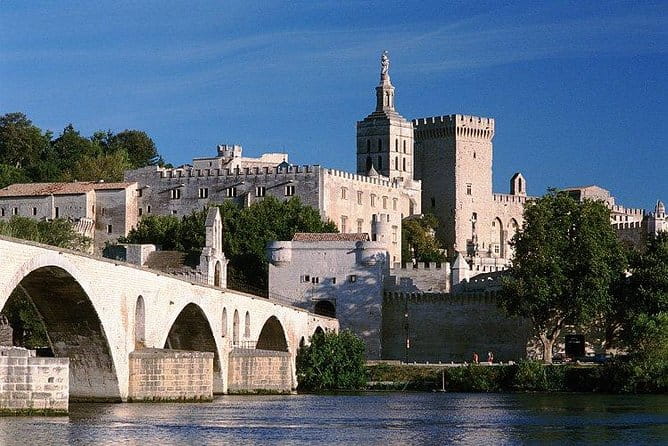 Côtes du Rhône Wine tour: Avignon, Palace of the Popes - Who Will Love This Tour?