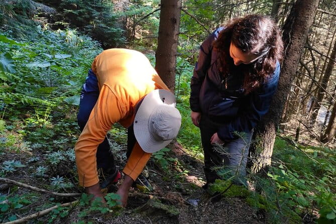 Culinary Adventure To The Fungi And Botanical Kingdom Of Bulgaria - Frequently Asked Questions