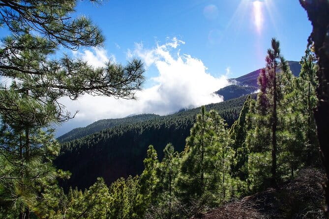 Custom Private Full-Day Tour into the Heart of Tenerife - FAQ