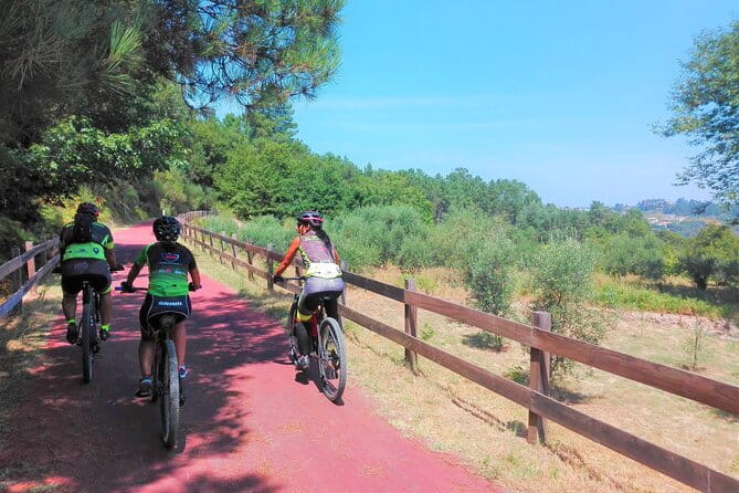 Cycling Ecopista do Dão One Way, full-day from Coimbra - Who Should Book This?