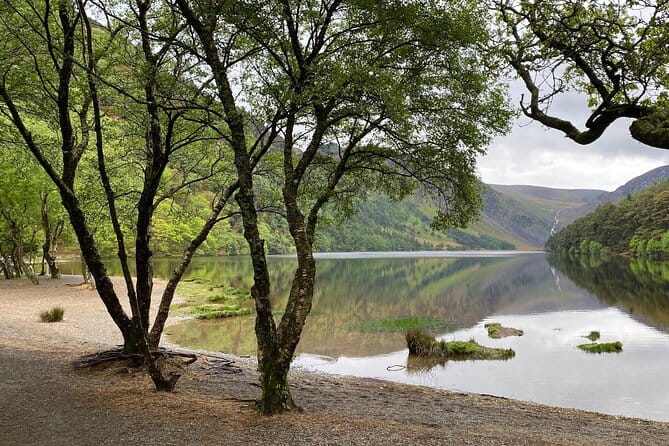 Day Tour from Dublin: Wicklow Mountains, Glendalough, Powerscourt - Who Would Benefit Most from This Tour?