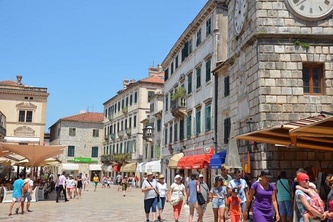 Day Tour of Budva and Kotor Montenegro from From Tirana & Durres - Value and Logistics: Is It Worth the Price?