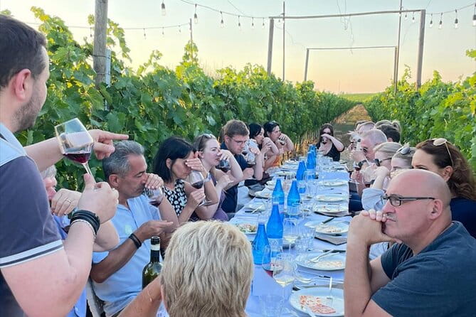 Dinner in the Vineyards - Practical Tips