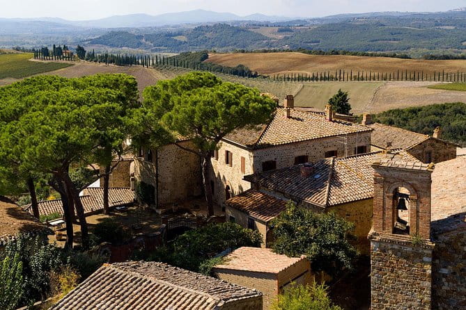 Discover Montalcino through its best productions: Brunello & Saffron!! - A Flavourful Dive into Saffron and Local Delights