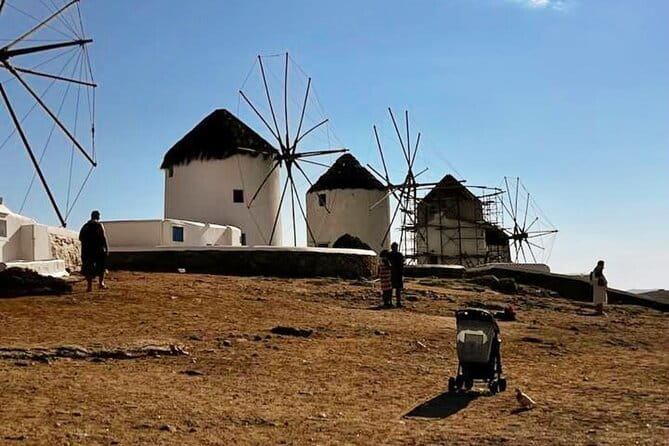 Discover Mykonos Island In Half Day Private Tour - Who This Tour Is Perfect For