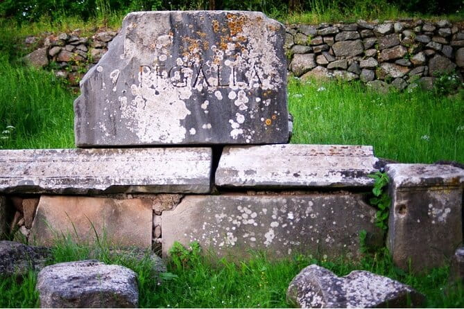 Discover The Ancient Appian Way in confort: a golf cart adventure - Price and Logistics: A Balance of Comfort and Cost