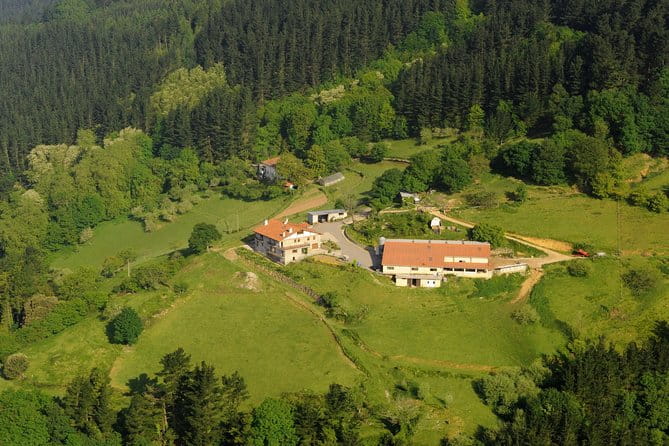 Discover the Art of Idiazabal Cheese in the Basque Country - Detailed Review of the Idiazabal Cheese Tour