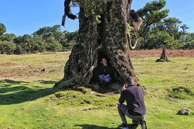 Discovering Northwest Madiera Shore Excursion w/ Harbour pickup - The Experience in Detail: What to Expect