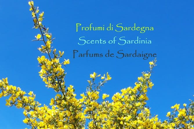 Discovering the Land of the Centenaries and swimming in the Natural Pools - Transport, Practicalities, and What to Pack