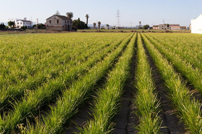 Discovering Valencia - private full day tour - FAQs