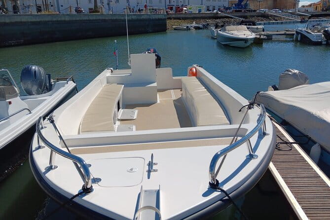 Dolphin watching and wildlife from Faro - Who Will Love This Tour?