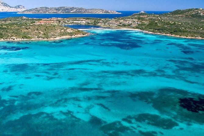 Dolphin Watching Boat Excursion to Figarolo Island from Olbia - The Practical Side — Price, Duration, and What It Means for You