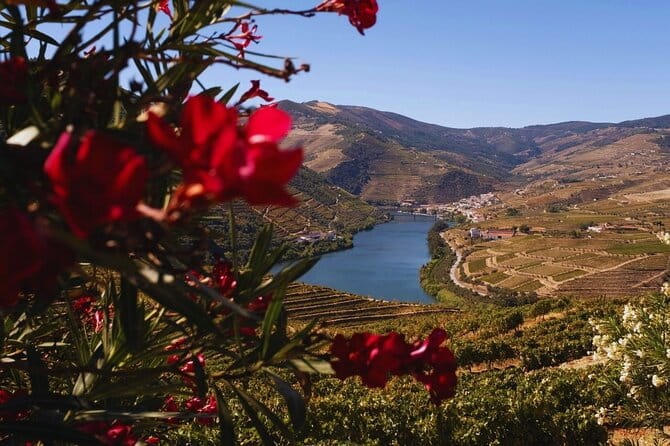 Douro Three Winery Small Group Tour with Lunch and Tastings - FAQs