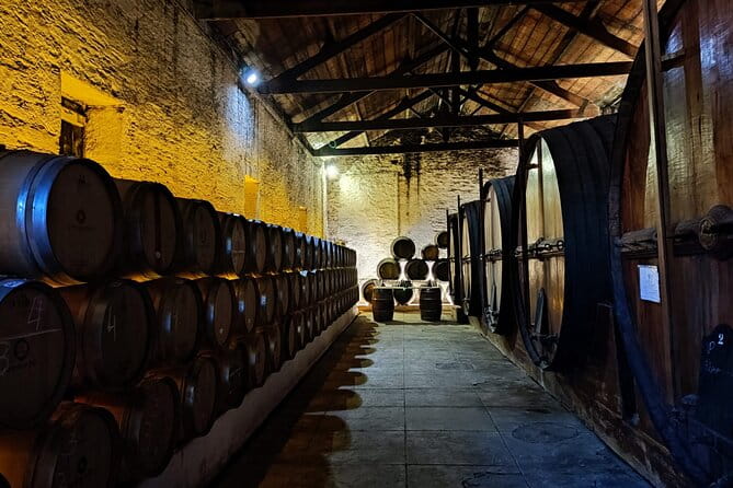 Douro Valley Pinhao Quinta da Foz Tour and Tasting 5 Wines - The Guided Tour: Technical Insights and Personal Stories