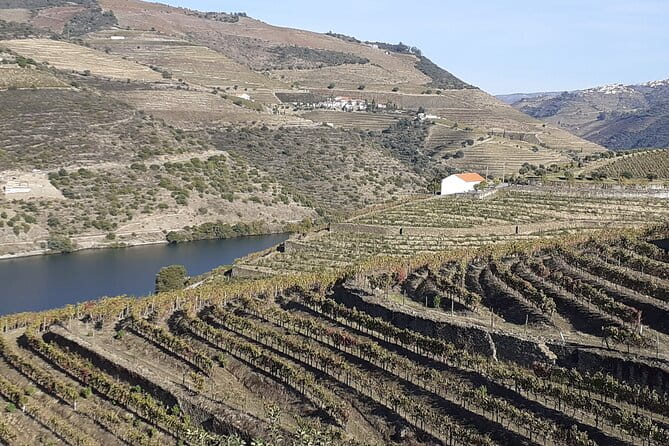 Douro Valley Premium with wine tasting lunch and boat - Final Thoughts: Is This Tour Right for You?