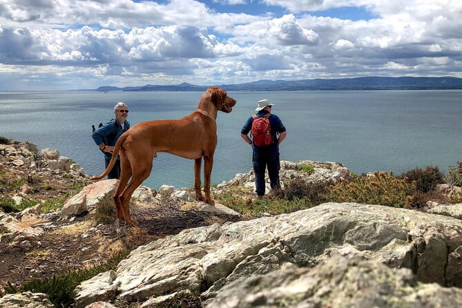 Dublin Coastal Hike with Howth Adventures - Transportation, Timing, and Group Size