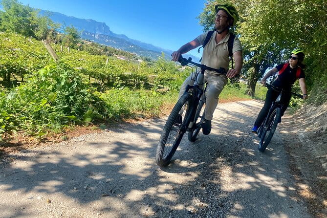 E-Bike tour and Wine tasting in the Austrian Fort from Pastrengo - Practical Details and Considerations